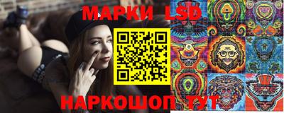 стаф Гай