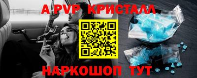стаф Гай