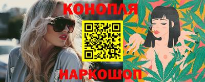 стаф Гай