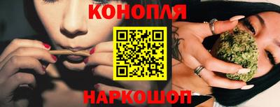 МДПВ Гатчина