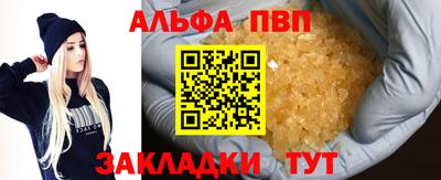 стаф Гай