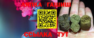 стаф Гай