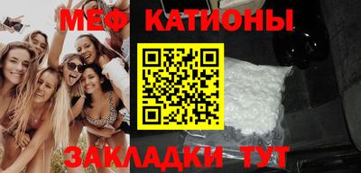 стаф Гай