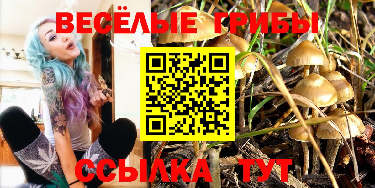 Новозыбков  Галлюциногенные грибы мухоморы  Вход с VPN  Галлюциногенные грибы мицелий 