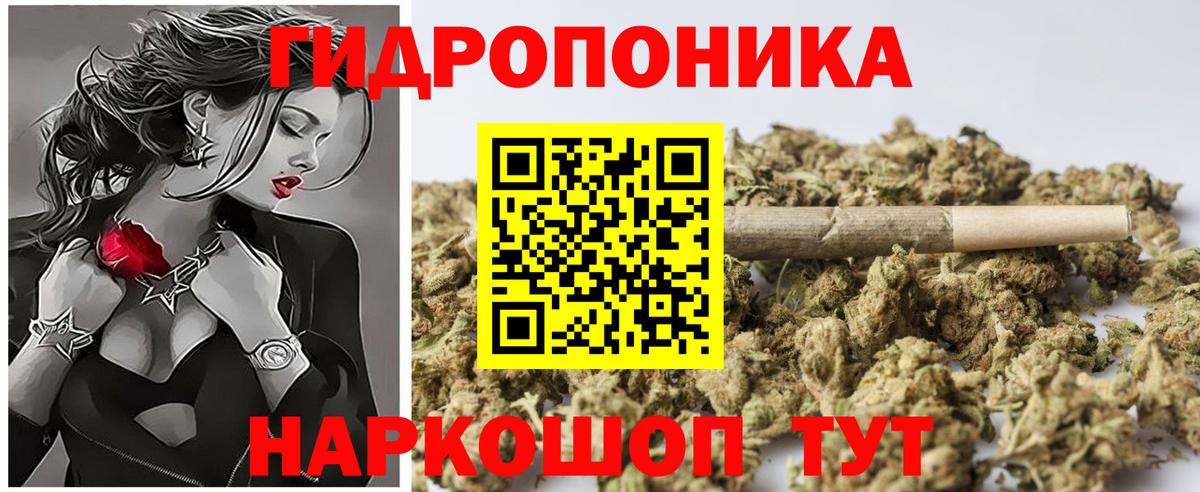 Канабис гибрид Новозыбков