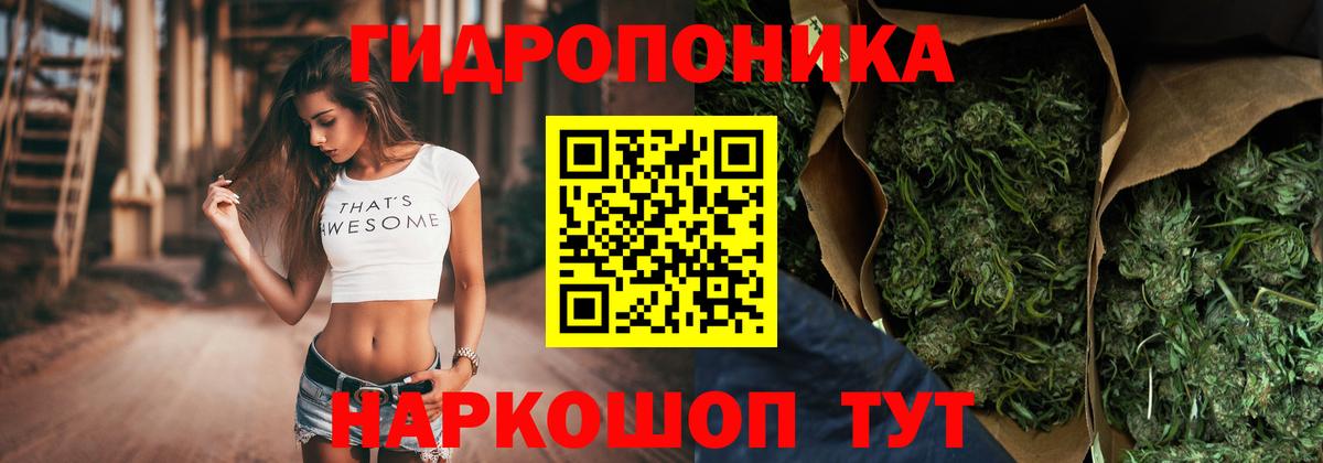 Марихуана конопля  Вход с VPN  Новозыбков  Каннабис OG Kush 